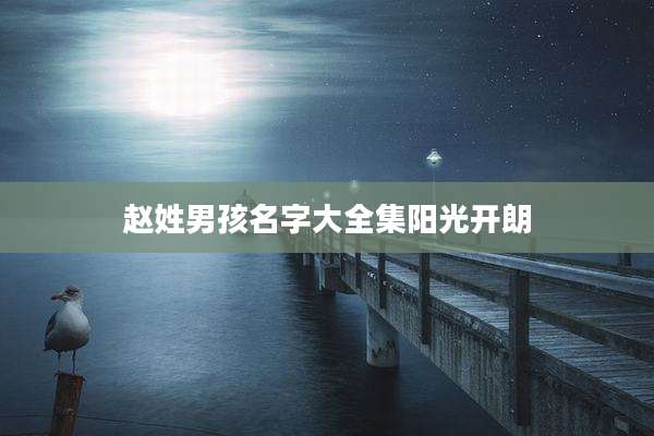 赵姓男孩名字大全集阳光开朗