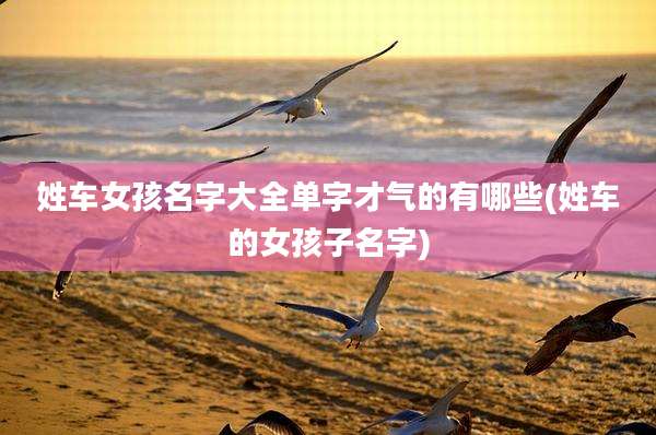 姓车女孩名字大全单字才气的有哪些(姓车的女孩子名字)