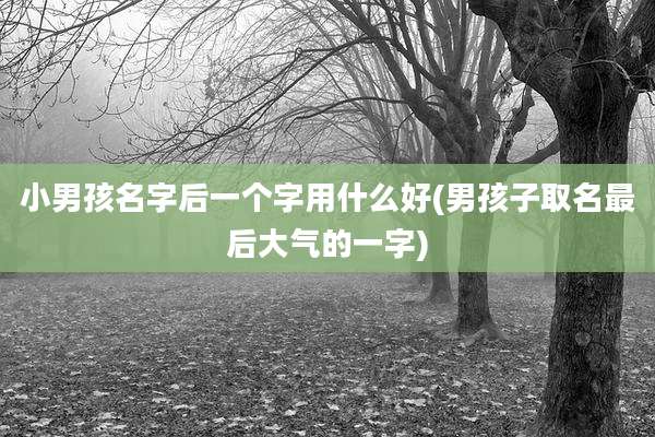 小男孩名字后一个字用什么好(男孩子取名最后大气的一字)