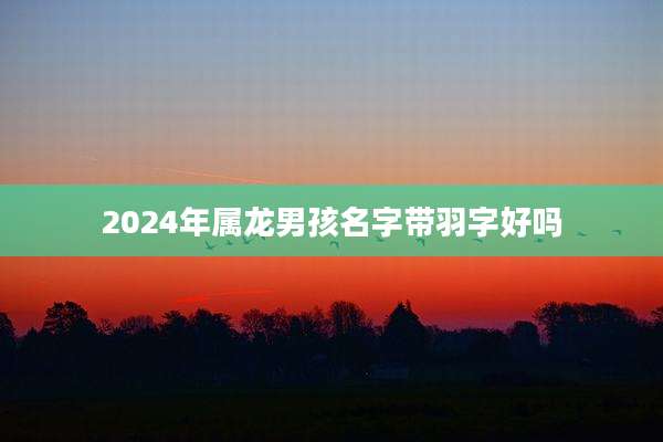 2024年属龙男孩名字带羽字好吗