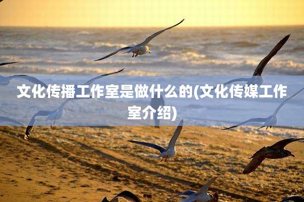文化传播工作室是做什么的(文化传媒工作室介绍)