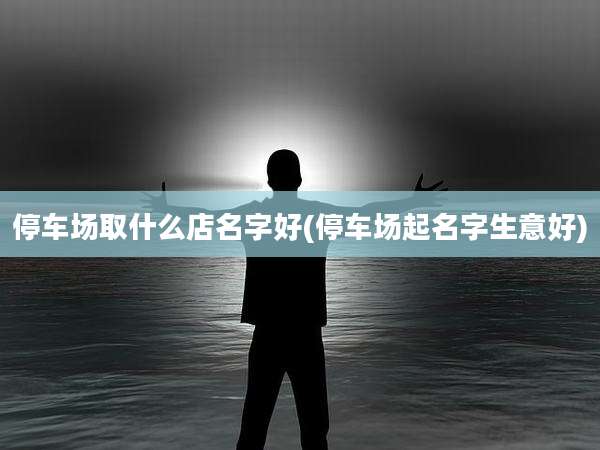 停车场取什么店名字好(停车场起名字生意好)