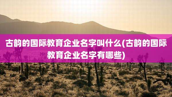 古韵的国际教育企业名字叫什么(古韵的国际教育企业名字有哪些)