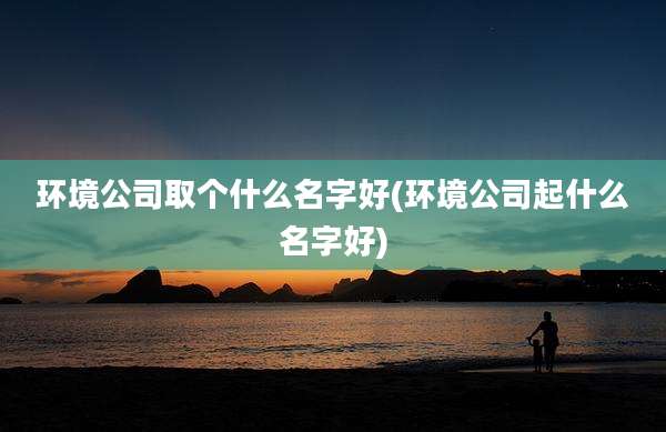 环境公司取个什么名字好(环境公司起什么名字好)