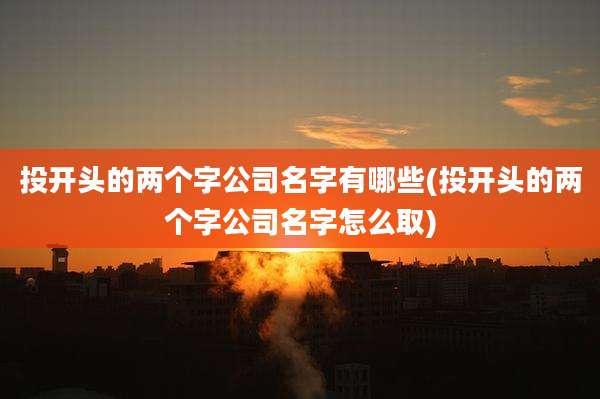 投开头的两个字公司名字有哪些(投开头的两个字公司名字怎么取)