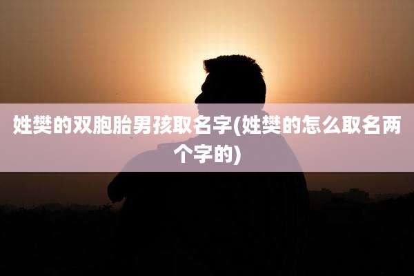 姓樊的双胞胎男孩取名字(姓樊的怎么取名两个字的)