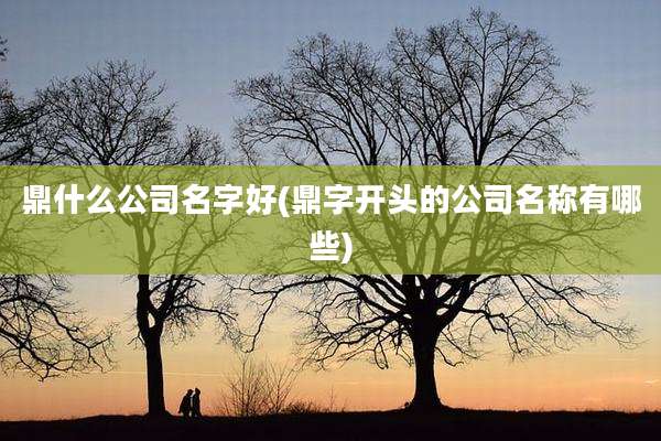 鼎什么公司名字好(鼎字开头的公司名称有哪些)
