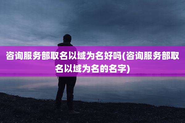 咨询服务部取名以域为名好吗(咨询服务部取名以域为名的名字)