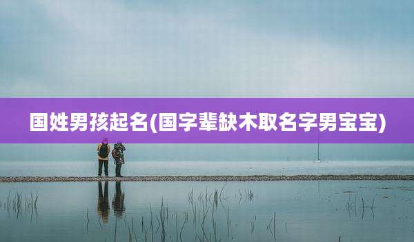 国姓男孩起名(国字辈缺木取名字男宝宝)