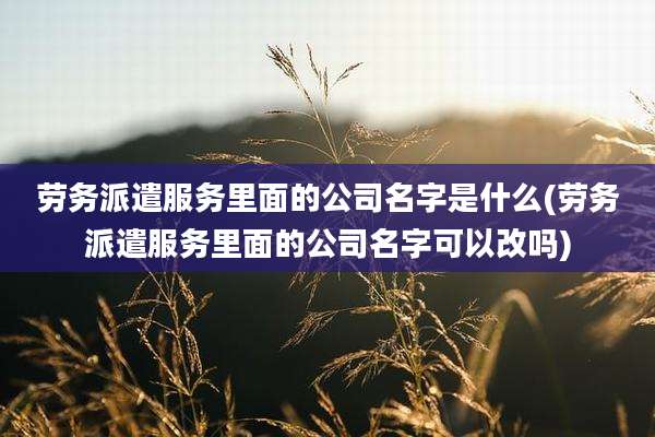 劳务派遣服务里面的公司名字是什么(劳务派遣服务里面的公司名字可以改吗)