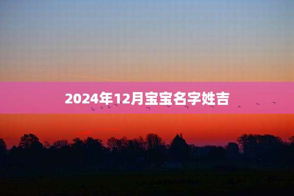 2024年12月宝宝名字姓吉