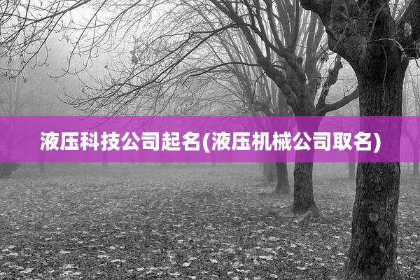 液压科技公司起名(液压机械公司取名)