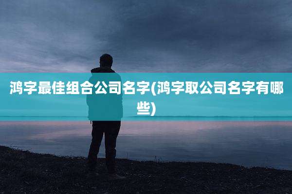 鸿字最佳组合公司名字(鸿字取公司名字有哪些)