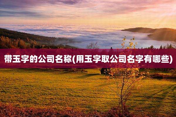 带玉字的公司名称(用玉字取公司名字有哪些)