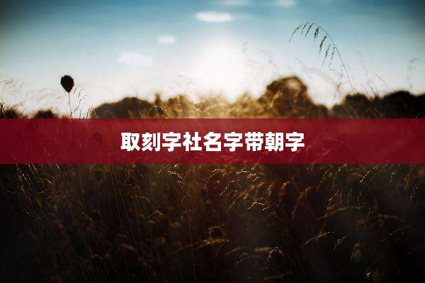 取刻字社名字带朝字