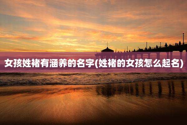 女孩姓褚有涵养的名字(姓褚的女孩怎么起名)