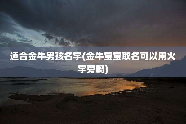 适合金牛男孩名字(金牛宝宝取名可以用火字旁吗)