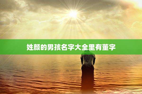 姓颜的男孩名字大全里有董字