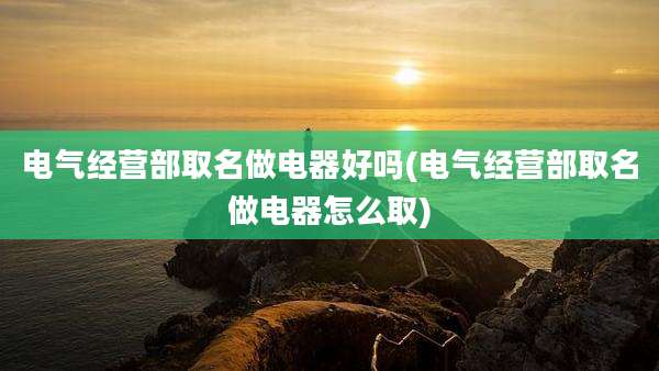电气经营部取名做电器好吗(电气经营部取名做电器怎么取)