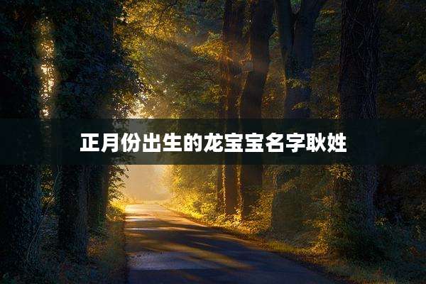 正月份出生的龙宝宝名字耿姓