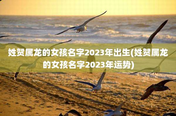 姓贺属龙的女孩名字2023年出生(姓贺属龙的女孩名字2023年运势)