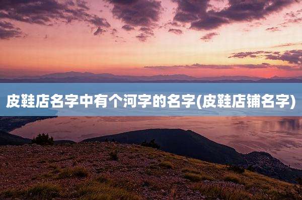 皮鞋店名字中有个河字的名字(皮鞋店铺名字)