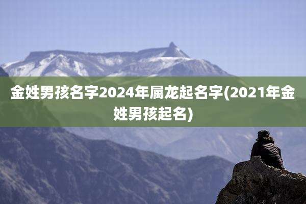金姓男孩名字2024年属龙起名字(2021年金姓男孩起名)
