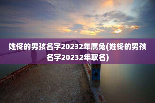 姓佟的男孩名字20232年属兔(姓佟的男孩名字20232年取名)