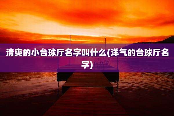 清爽的小台球厅名字叫什么(洋气的台球厅名字)