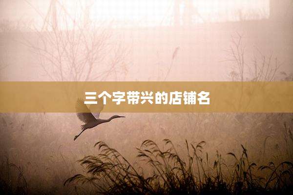 三个字带兴的店铺名