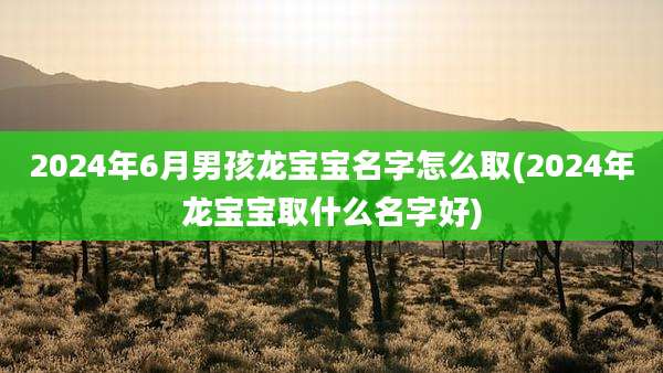 2024年6月男孩龙宝宝名字怎么取(2024年龙宝宝取什么名字好)