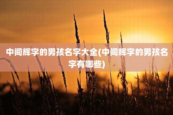 中间辉字的男孩名字大全(中间辉字的男孩名字有哪些)