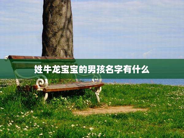 姓牛龙宝宝的男孩名字有什么
