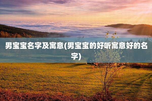 男宝宝名字及寓意(男宝宝的好听寓意好的名字)