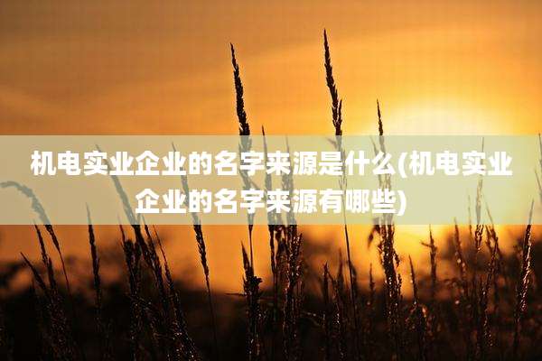 机电实业企业的名字来源是什么(机电实业企业的名字来源有哪些)