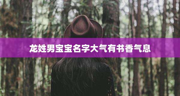 龙姓男宝宝名字大气有书香气息