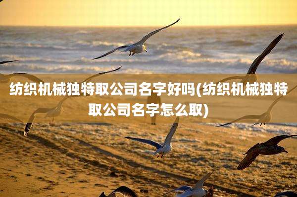 纺织机械独特取公司名字好吗(纺织机械独特取公司名字怎么取)