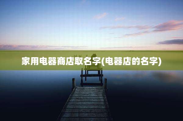 家用电器商店取名字(电器店的名字)