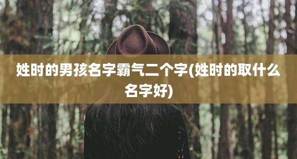 姓时的男孩名字霸气二个字(姓时的取什么名字好)