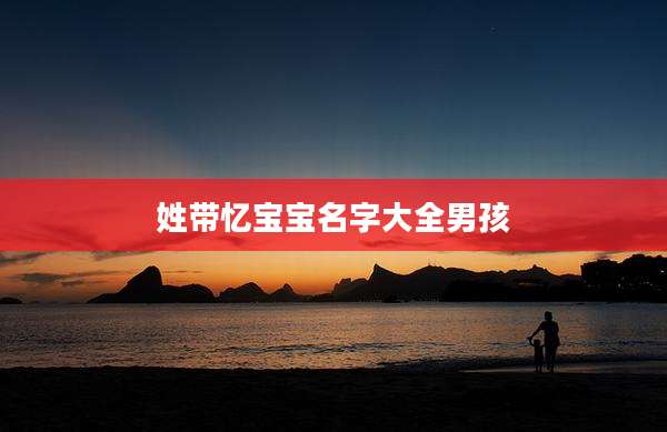姓带忆宝宝名字大全男孩