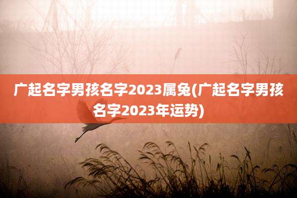 广起名字男孩名字2023属兔(广起名字男孩名字2023年运势)