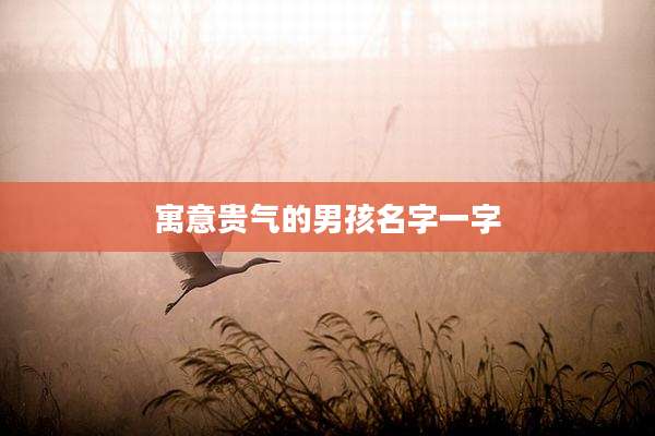 寓意贵气的男孩名字一字