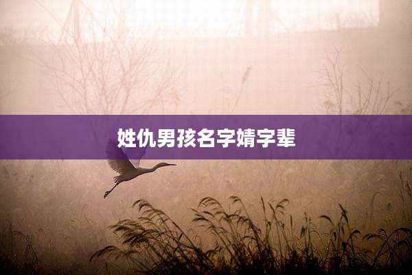 姓仇男孩名字婧字辈