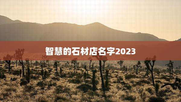 智慧的石材店名字2023