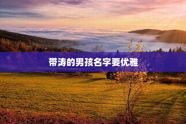 带涛的男孩名字要优雅
