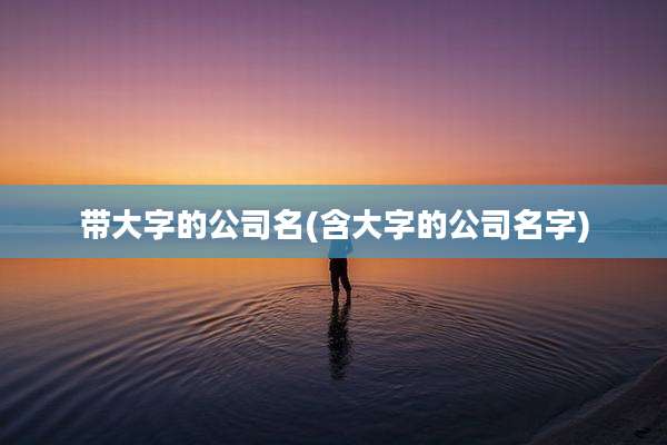 带大字的公司名(含大字的公司名字)