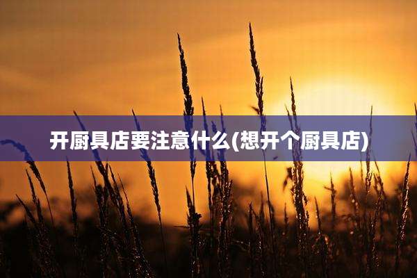 开厨具店要注意什么(想开个厨具店)