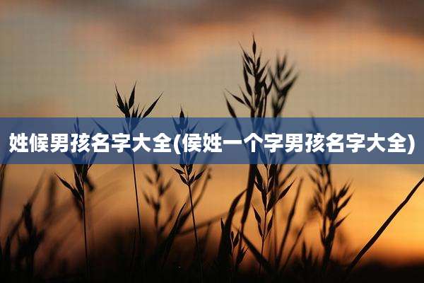 姓候男孩名字大全(侯姓一个字男孩名字大全)