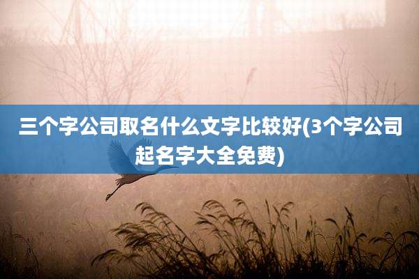 三个字公司取名什么文字比较好(3个字公司起名字大全免费)