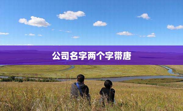 公司名字两个字带唐